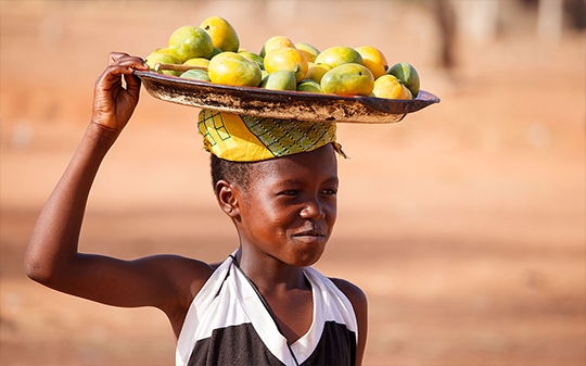 A child carrying fruits A child carrying fruits