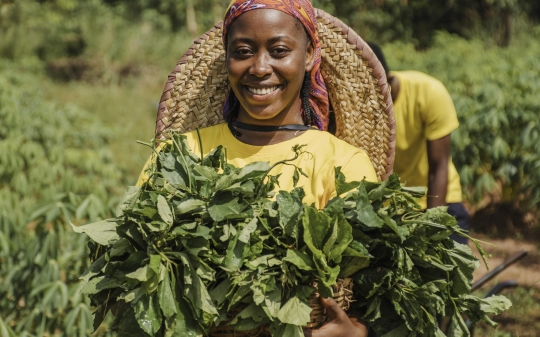 Gender Analysis of Food Systems Policies:Supporting gender responsive policies and policy development processes in Nigeria