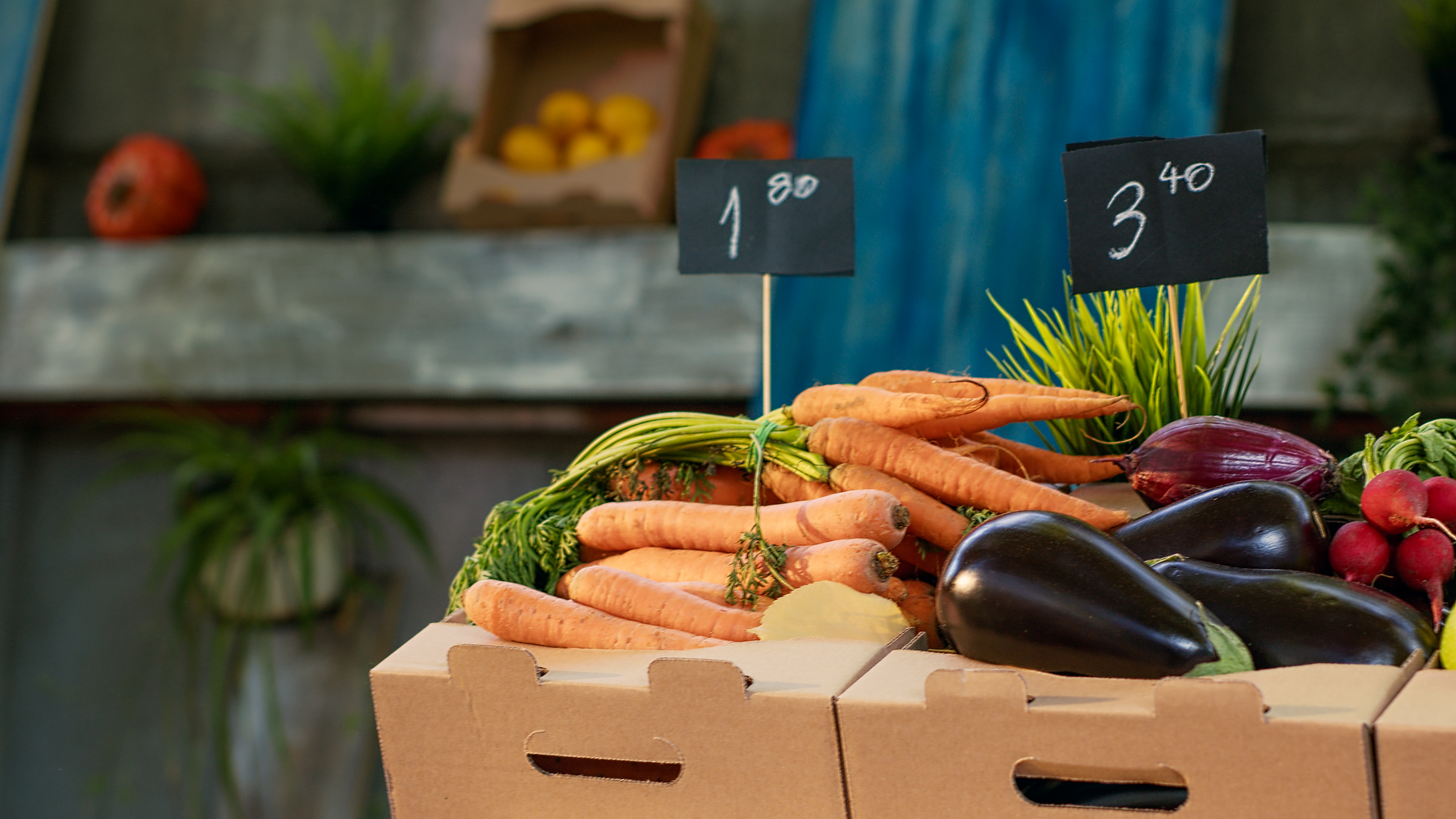 Latest Review Series reveals USD 11 Trillion Bill in Food System’s Hidden Costs, a Significant Underestimation 