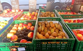 GAIN Convening Paper n°22: Shared Learning, Inspired Action: Insights From Global Exchanges on Strengthening Urban Food Markets