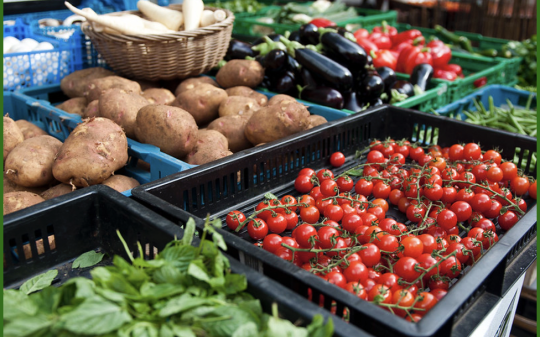 food displayed at the market