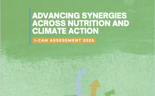 Advancing Synergies Across Nutrition and Climate Action Advancing Synergies Across Nutrition and Climate Action