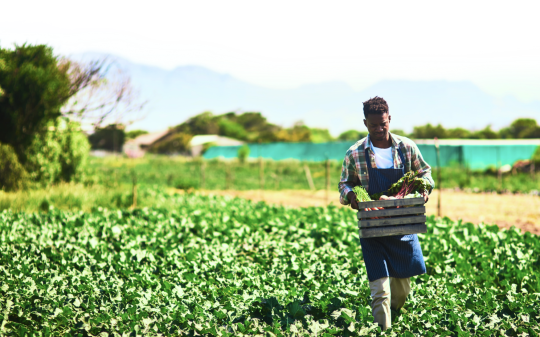 I-CAN POLICY BRIEF: BRIDGING CLIMATE AND NUTRITION POLICIES IN TANZANIA xI-CAN POLICY BRIEF: BRIDGING CLIMATE AND NUTRITION POLICIES IN TANZANIA