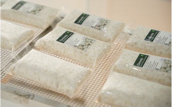 GAIN Working Paper n°62: Alternative Sources to Improve Sustainability and Resilience of Tempeh Supply Chains 